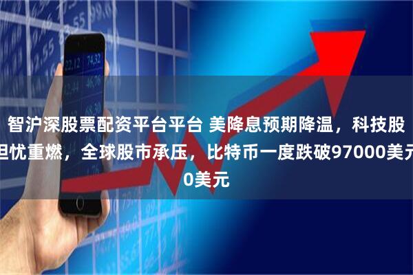 智沪深股票配资平台平台 美降息预期降温，科技股担忧重燃，全球股市承压，比特币一度跌破97000美元