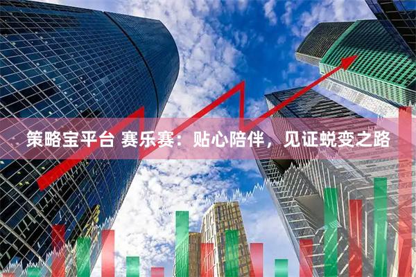 策略宝平台 赛乐赛：贴心陪伴，见证蜕变之路