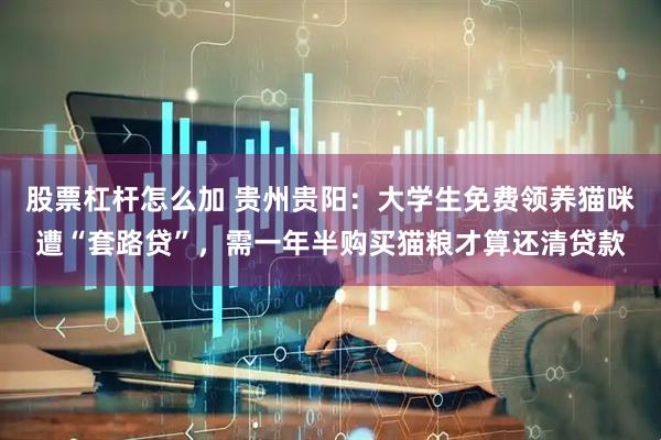 股票杠杆怎么加 贵州贵阳：大学生免费领养猫咪遭“套路贷”，需一年半购买猫粮才算还清贷款
