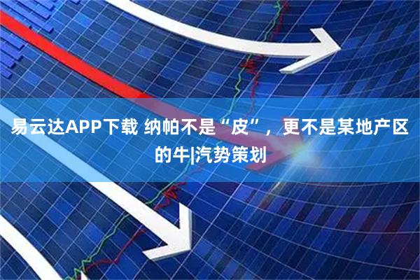 易云达APP下载 纳帕不是“皮”，更不是某地产区的牛|汽势策划